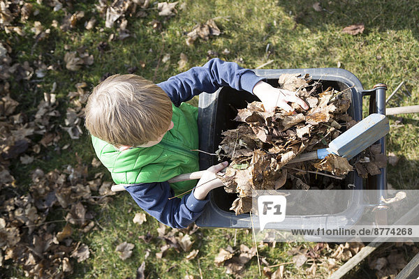 Junge füllt Herbstlaub in eine Mülltonne