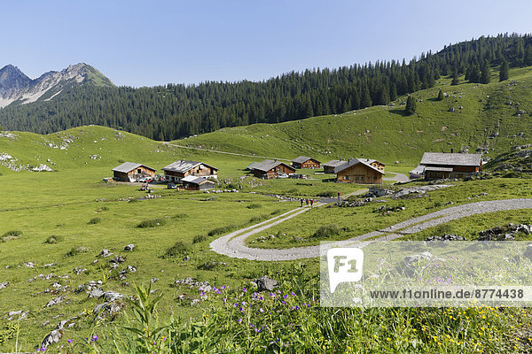 Österreich  Vorarlberg  Biosphärenreservat Großes Walsertal  Alp Laguz  Berghütten