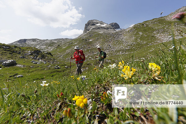 Österreich  Vorarlberg  Biosphärenreservat Großes Walsertal  Obere Laguzer Alm im Hintergrund Berg Hanflender  Wanderer