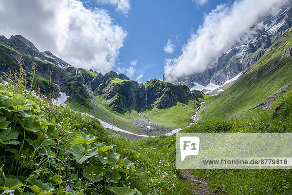 Landschaftlich schön  landschaftlich reizvoll  Europa  Berg  Wolke  Botanik  Sommer  Landschaft  Wiese  Engelberg  Schnee  Schweiz