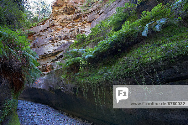 Nationalpark  Felsbrocken  Steilküste  fließen  Fluss  Schlucht  Australien  Carnarvon  Queensland