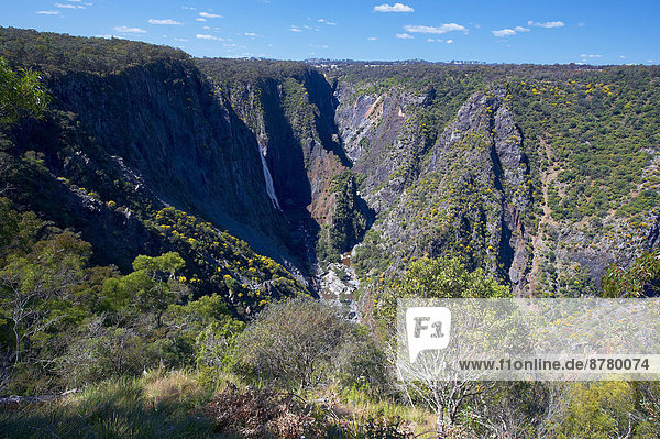 Nationalpark  Felsbrocken  Landschaftlich schön  landschaftlich reizvoll  Steilküste  Schlucht  Australien  New South Wales