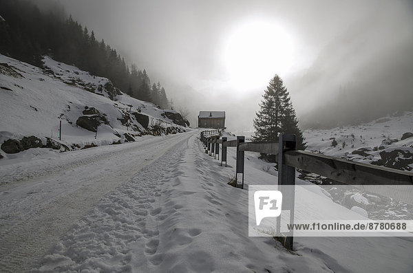 Gegenlicht Europa Winter Wohnhaus Fernverkehrsstraße Nebel Schnee Schweiz