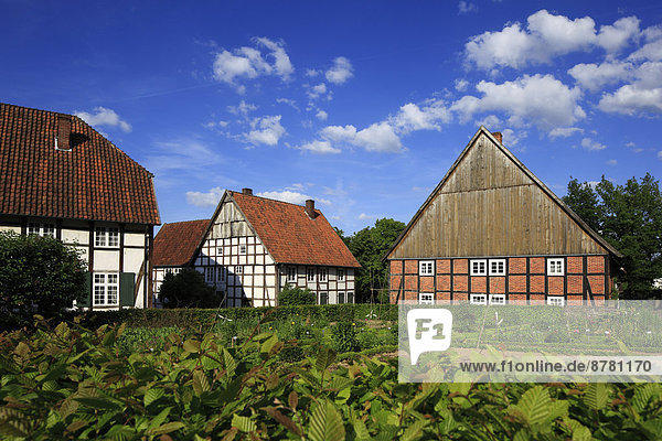 Naturschutzgebiet  Europa  Bauernhof  Hof  Höfe  Museum  Im Freien  Fachwerkhaus  Detmold  Deutschland  Nordrhein-Westfalen  Westfalen