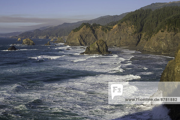 The shoreline of Brookings State Park  Oregon. USA