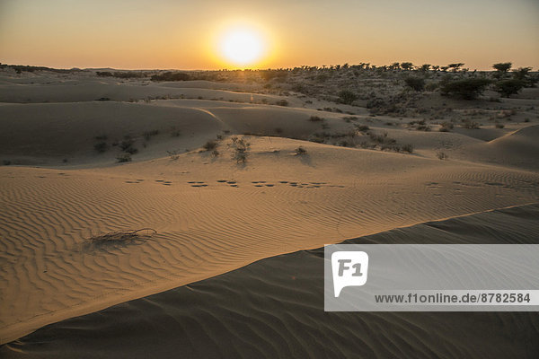 Landschaftlich schön landschaftlich reizvoll Sonnenaufgang Wüste Asien Indien Rajasthan
