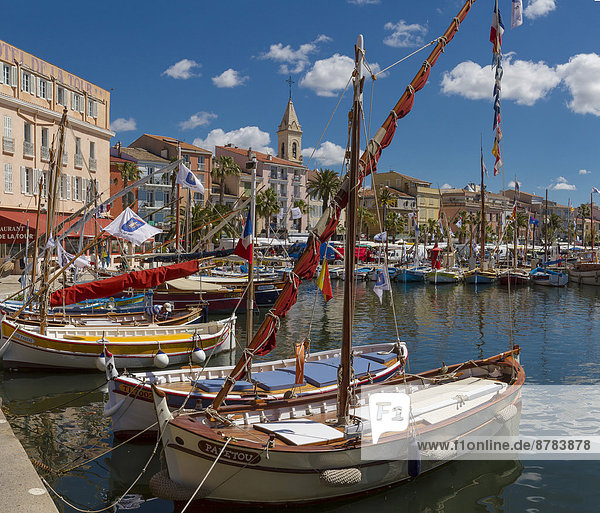 Traditional  fishing boats  port  harbour  town  village  water  spring  sea  people  ships  boat  Sanary sur Mer  Var  France  Europe