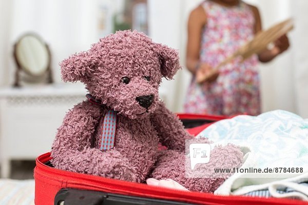 Teddybär im offenen Koffer