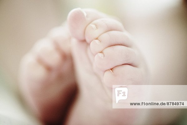 Nahaufnahme von 4 Monate alten Baby Boys Füße