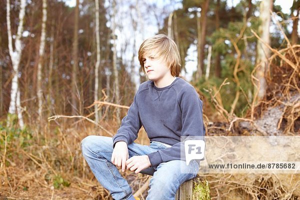 Boy sitting on tree stump in forest