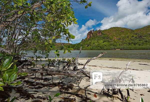 Africa  Seychelles Islands  Curieuse Island  beach with granite rocks                                                                                                                                   