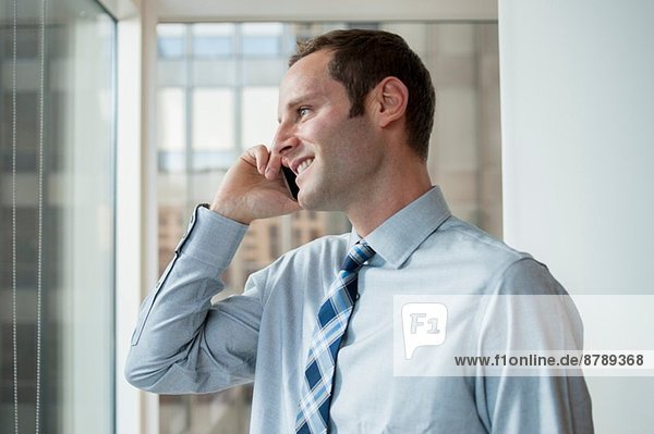 Geschäftsmann beim Telefonieren im Büro