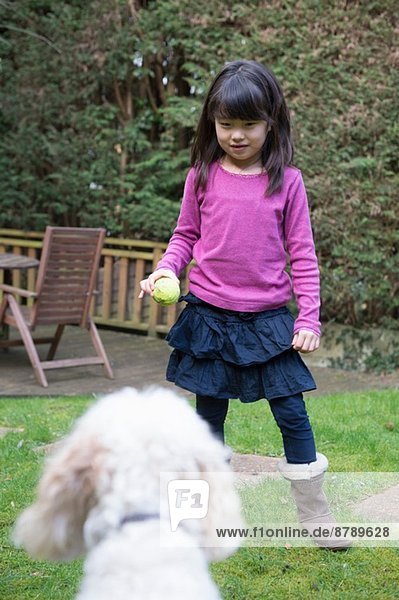 Mädchen beim Ballspielen mit ihrem Haushund im Garten