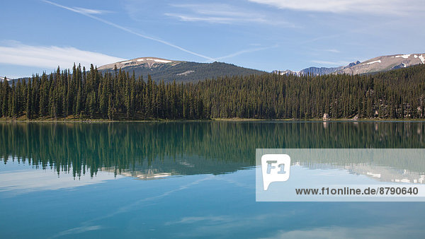 Nationalpark  Landschaftlich schön  landschaftlich reizvoll  Wasser  Berg  Landschaft  Spiegelung  See  Nordamerika  Jasper Nationalpark  Alberta  Kanada