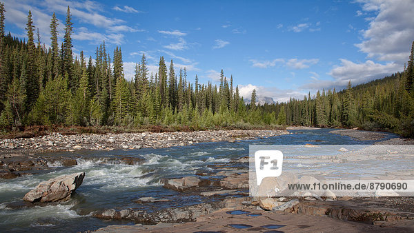 Landschaftlich schön  landschaftlich reizvoll  Wasser  Beleuchtung  Licht  Landschaft  Fluss  Nordamerika  Wasserfall  Alberta  Kanada  Stimmung