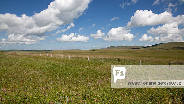 Landschaftlich schön  landschaftlich reizvoll  Landschaft  Feld  Nordamerika  Alberta  Kanada  Prärie
