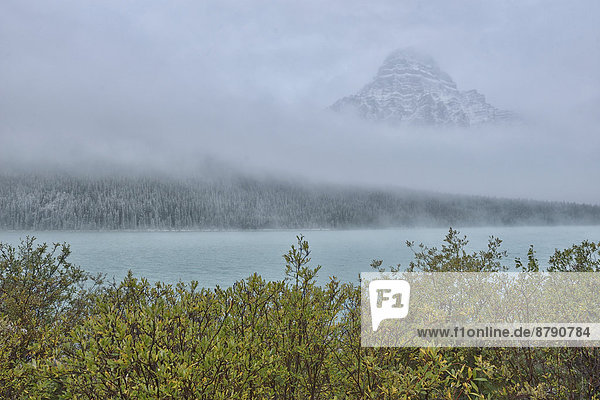 Nationalpark  Berg  Landschaft  niemand  See  Landschaftlich schön  landschaftlich reizvoll  Natur  Herbst  Nordamerika  UNESCO-Welterbe  Rocky Mountains  Columbia-Eisfeld  Columbia Icefield  Alberta  Banff  Kanada