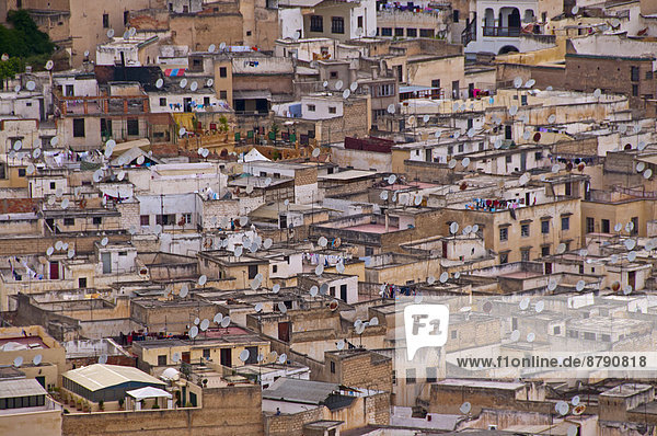 Nordafrika Fès Fez Dach Wohnhaus Gebäude Altstadt Afrika Fes Marokko