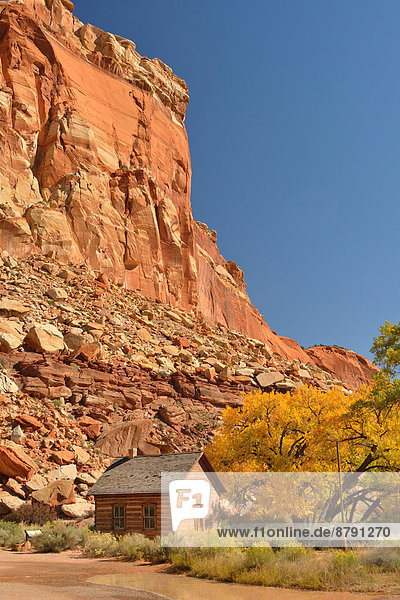 Vereinigte Staaten von Amerika USA Nationalpark Felsbrocken Hochformat Blockhaus Amerika Wohnhaus Steilküste Geschichte Schule (Einrichtung) Kabine Colorado Plateau Laub Utah