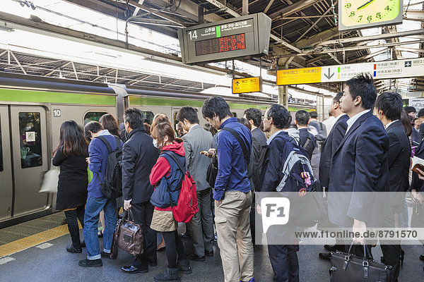 Japan  Honshu  Kanto  Tokyo  Shinjuku Station  Rush Hour Crowds