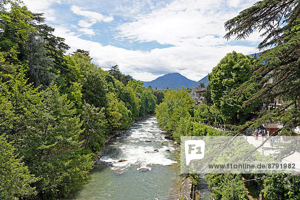 Europe  Italy  South Tirol  South Tyrol  Trentino  Alto Adige  Merano  Meran  stone footbridge  via Ponte Romano  Passertal  river  flow  Passer  torrent  trees  rivers  flows  Scenery  Landscape  place of interest  tourism  valley  water  ways  sport  park  plants  panorama  person  persons  buildings  constructions  mountains