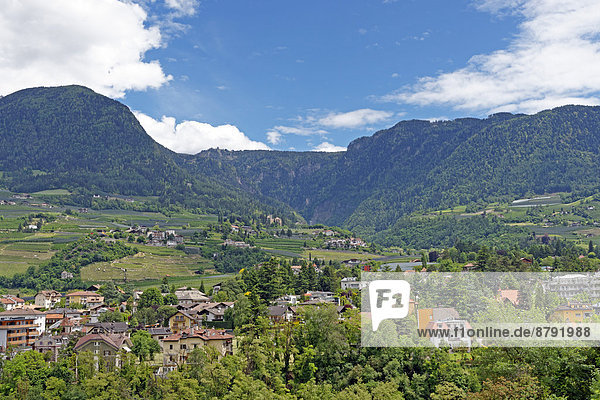 Panorama  Landschaftlich schön  landschaftlich reizvoll  Sehenswürdigkeit  Baustelle  Trentino Südtirol  Europa  Berg  Baum  Landschaft  Gebäude  Italien  Meran  Tourismus