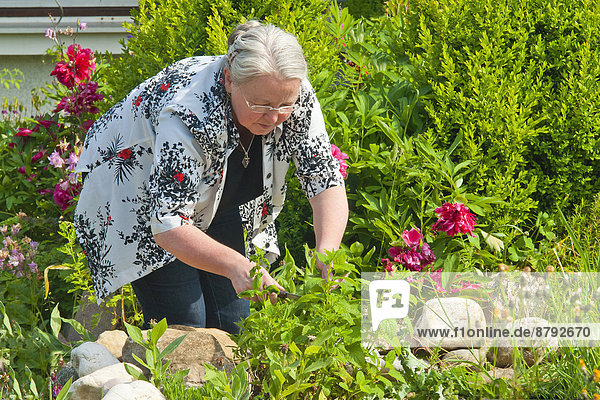 Freizeit  Frau  Mensch  arbeiten  Menschen  Blume  Beruf  Garten  Gartenbau  Hobby  Gärtner  Gewürz