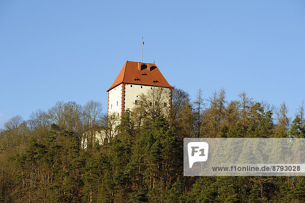 Ziegenrück  castle  Thuringia  Germany  Europe