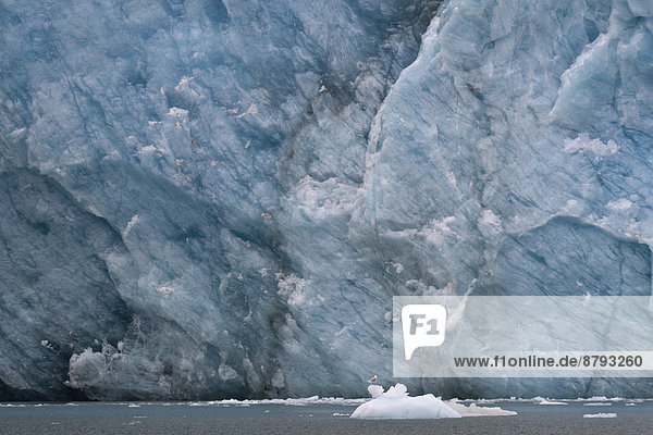 Eis an der Gletscherkante  Waggonway-Gletscher  Magdalenefjord  Insel Spitzbergen  Inselgruppe Spitzbergen  Svalbard und Jan Mayen  Norwegen
