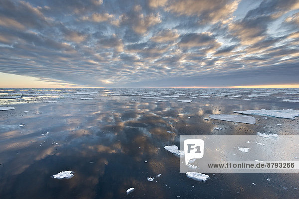 Spiegelung  Eisschollen  Packeis  Packeisgrenze  Arktischer Ozean  Insel Spitzbergen  Inselgruppe Spitzbergen  Svalbard und Jan Mayen  Norwegen