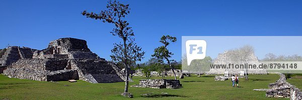 Mexico  Yucatán  Mayapán  the antique mayan city                                                                                                                                                        