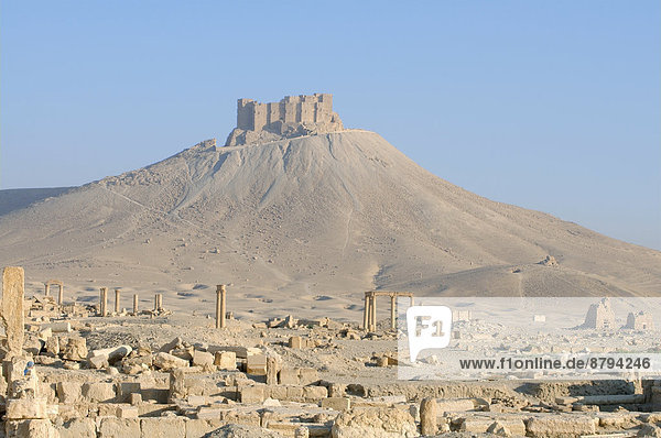 The ruins of the ancient city Palmyra in front of a medieval fortress  Qala'at Ibn Maan or Palmyra Castle or Fakhr-al-Din al-Maani Castle  Tadmur  Palmyra District  Homs Governorate  Syria
