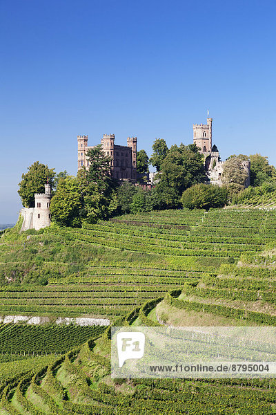 Schloss Ortenberg  bei Offenburg  Schwarzwald  Baden-Württemberg  Deutschland