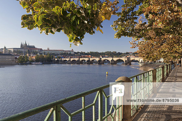 View over the Vltava River to Charles Bridge and Hradcany  Castle District  with St. Vitus Cathedral  Prague  Bohemia  Czech Republic