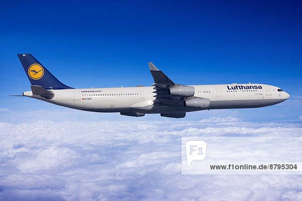 Lufthansa Airbus A330-343 im Flug