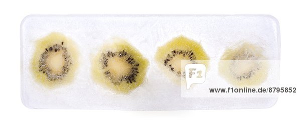 Kiwi  Apterygidae  Schnepfenstrauße  Schnepfenstrauß  gefroren