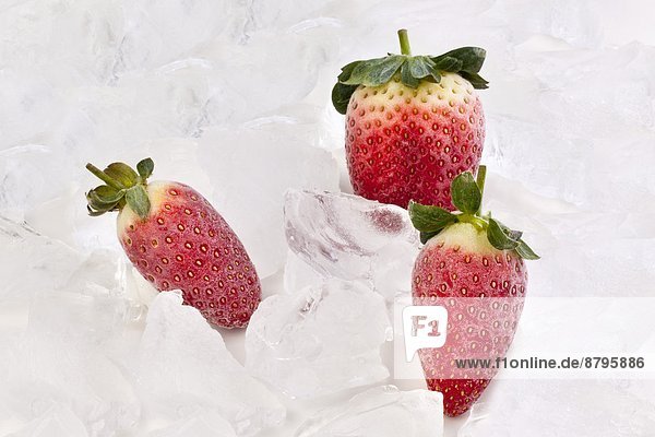 Erdbeere  gefroren