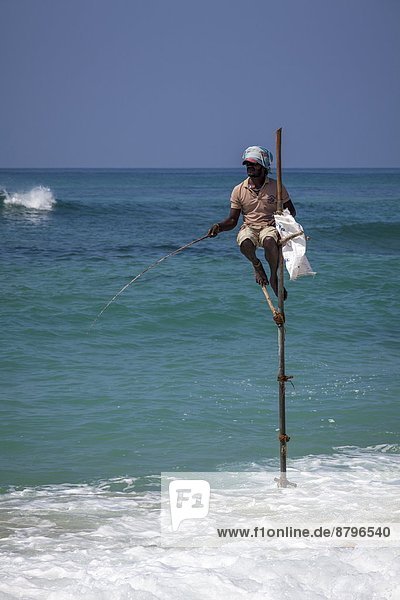 benutzen Technik Tradition angeln Holzstock Asien Fischer Indischer Ozean Indik Sri Lanka