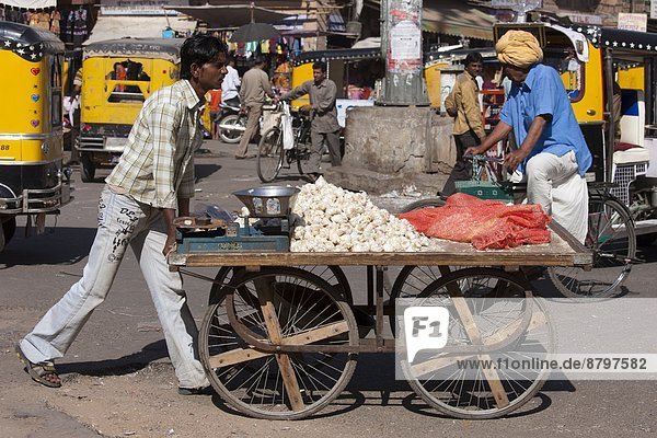 Straße  Stilleben  still  stills  Stillleben  Verkäufer  Knoblauch  Jodhpur  Markt  Rajasthan