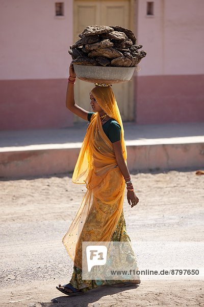 Hausrind  Hausrinder  Kuh  kochen  Frau  tragen  trocken  Dorf  Indianer  Benzin  streicheln  Kuh  Rajasthan  Sari