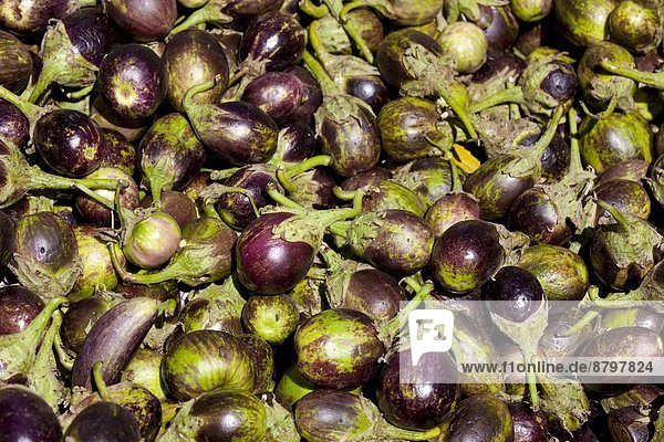 Stadt  Aubergine  verkaufen  Markt  alt  Rajasthan  Udaipur