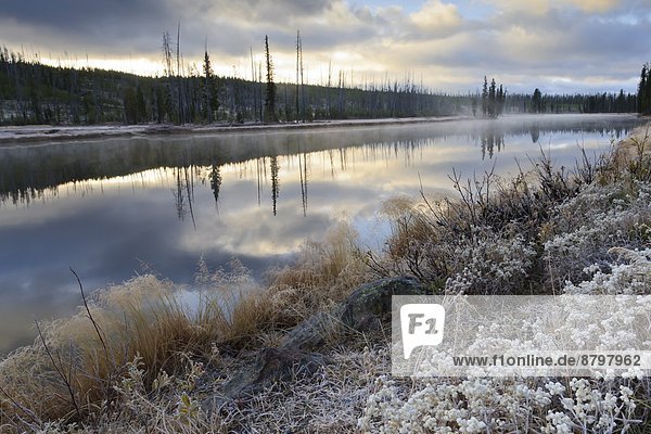Vereinigte Staaten von Amerika  USA  Baum  Dunst  Fluss  Spiegelung  Nordamerika  Kälte  UNESCO-Welterbe  Yellowstone Nationalpark  Wyoming