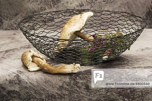 Frische Parasole und Kräuter im Drahtkorb