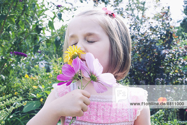Kleines Mädchen riecht Blume