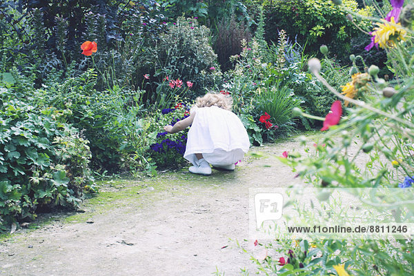 Little girl exploring flower garden