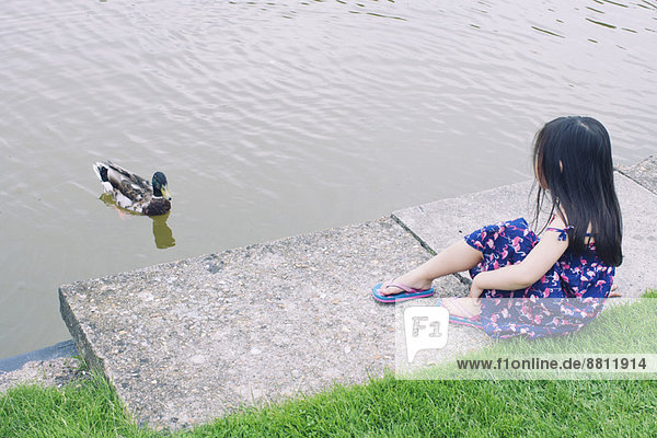 Kleines Mädchen am Wasserrand beobachtet Ente