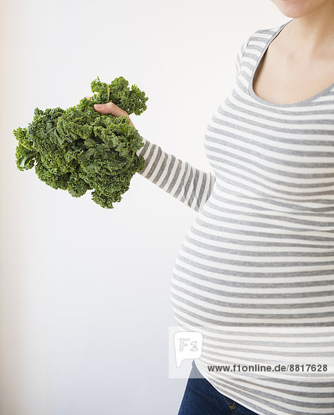 Grünkohl Brassica oleracea  Europäer  Frau  halten  Schwangerschaft