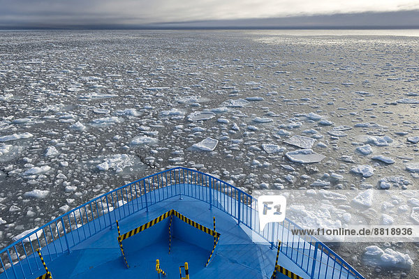 Expeditionsschiff fährt durch Eisschollen  Packeis  Arktischer Ozean  Insel Spitzbergen  Inselgruppe Spitzbergen  Svalbard und Jan Mayen  Norwegen
