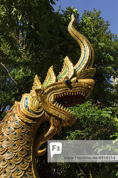 Vergoldete Naga-Figur am Eingang des Wat Phra Kaeo  Wat Phra Kaew  Chiang Rai  Provinz Chiang Rai  Nordthailand  Thailand
