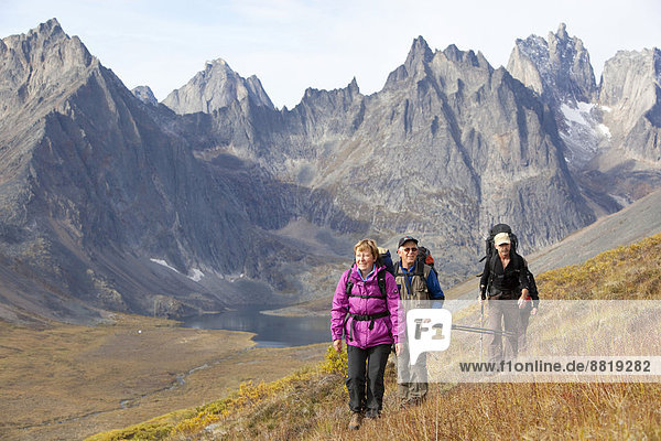People hiking in arctic or subalpine tundra  Mount Monolith behind  Indian summer  Tombstone Mountains Territorial Park  Yukon Territory  Canada